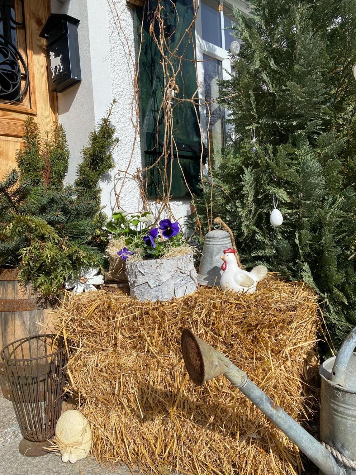 Apartamenty Sudeckie Nad Zalewem II Sosnowka  Bagian luar foto